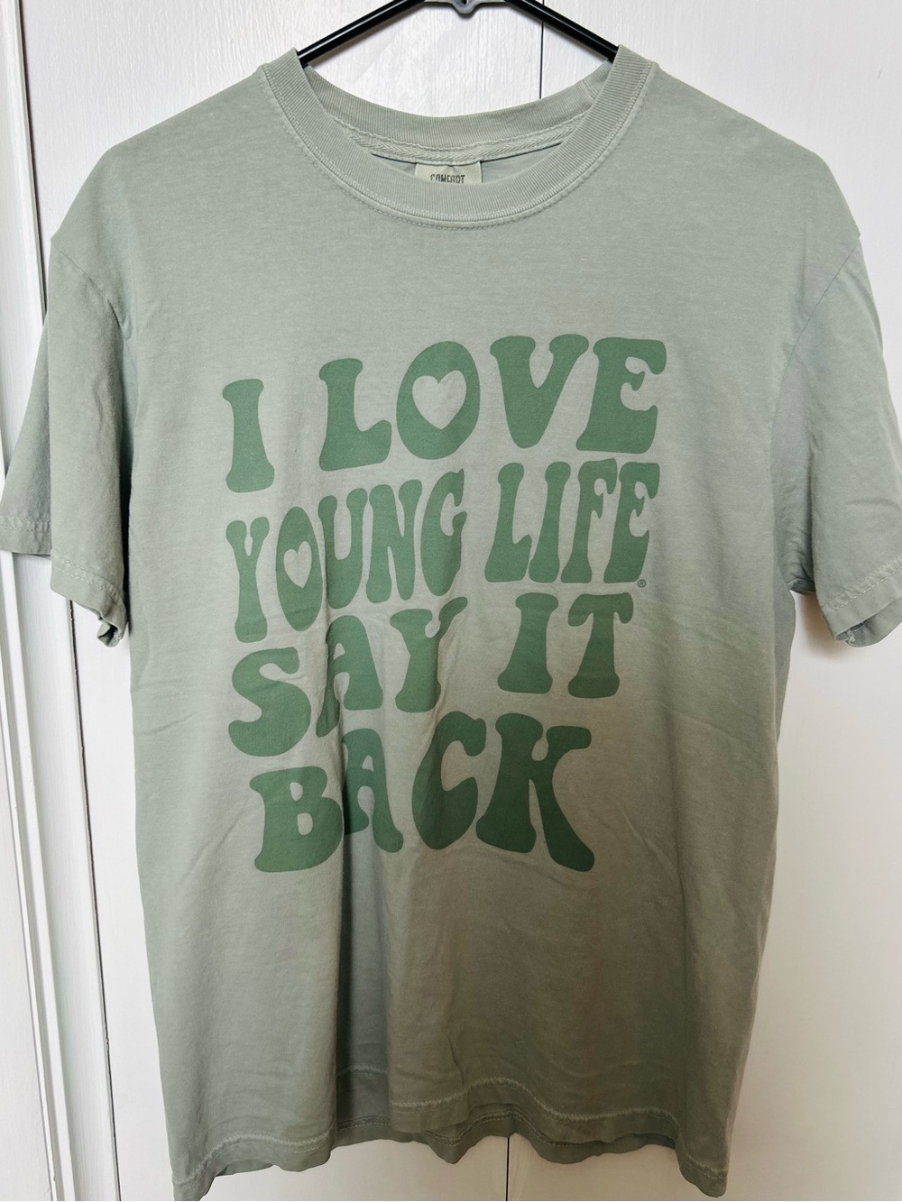Sage Green Graphic Tee - I Love